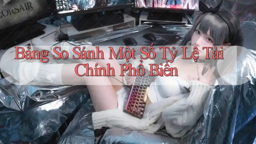 Bảng So Sánh Một Số Tỷ Lệ Tài Chính Phổ Biến
