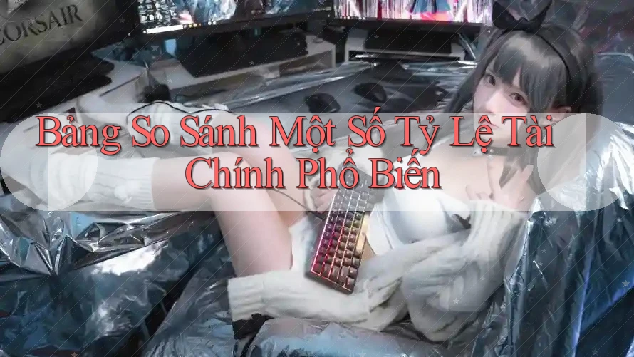 Bảng So Sánh Một Số Tỷ Lệ Tài Chính Phổ Biến