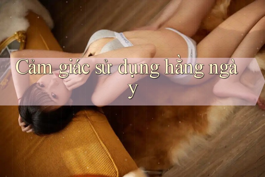 Cảm giác sử dụng hằng ngày