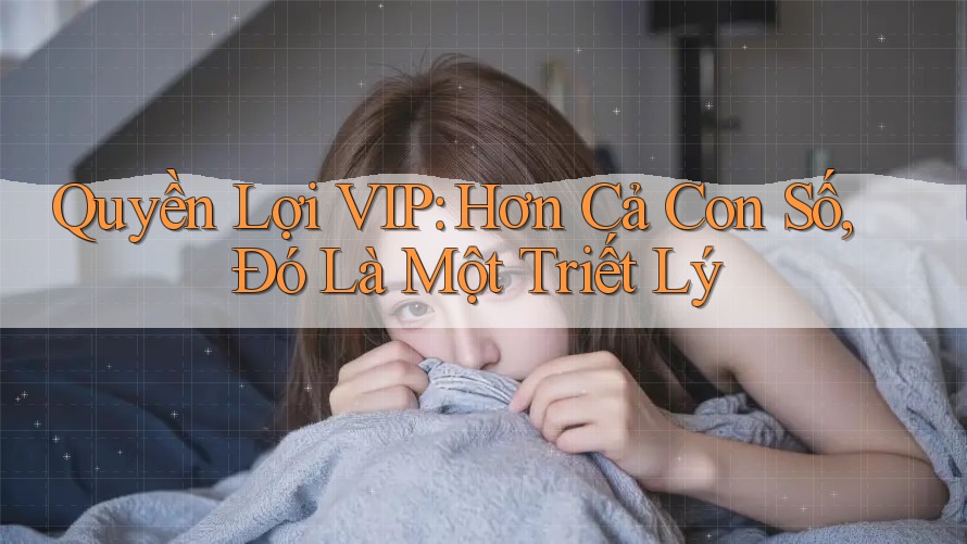 Quyền Lợi VIP: Hơn Cả Con Số, Đó Là Một Triết Lý